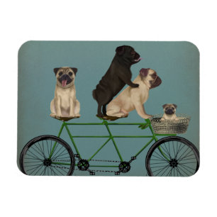 Ímã Pug Tandem