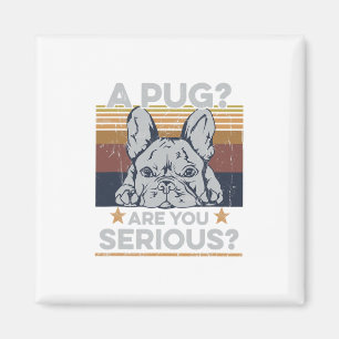 Imã Pug, Você Está Falando A Sério Para Um Proprietári