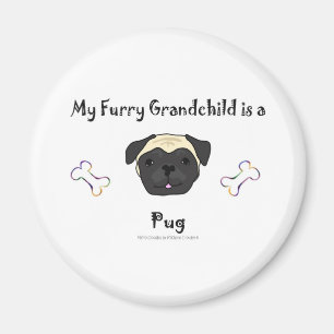 Imã PugFawn