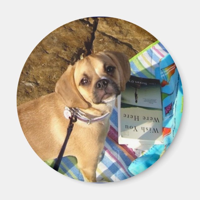 Imã Puggle (Frente)