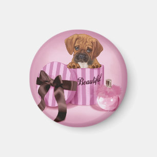 Imã Puggle em Stripy Round Box