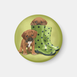 Imã Puggle nas botas