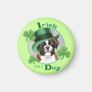 Imã Pugilista do dia de St Patrick