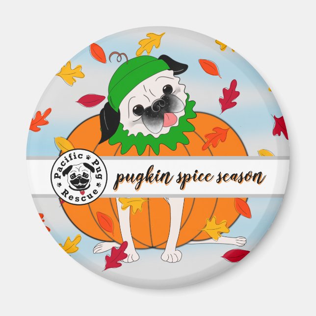 Imã Pugkin Spice: Queda do Magneto Refrigerador (Frente)