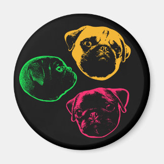 Imã pugs
