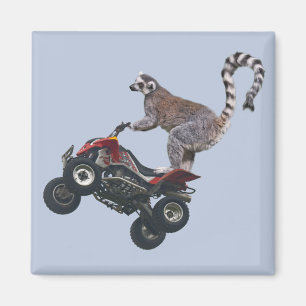 Imã Pulando o ímã do Lemur