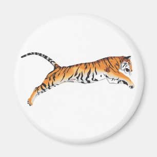 Imã Pulando o tigre