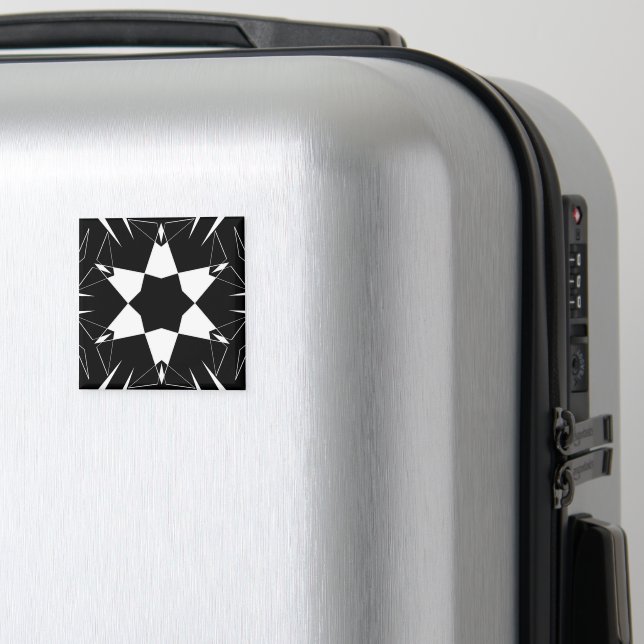 Imã Pulso Monocromático (In Situ (Luggage))