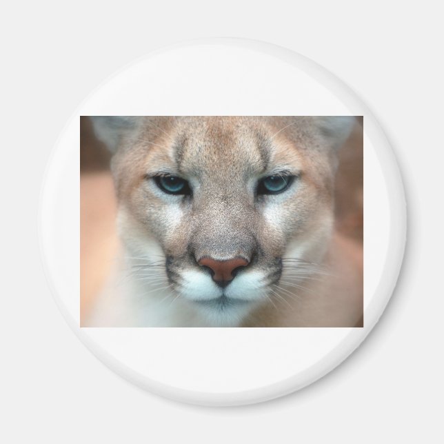 IMÃ PUMA LINDO (Frente)
