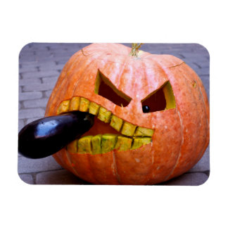 Ímã Pumpkin com o Íman de beringela
