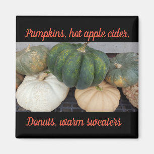 Imã Pumpkins