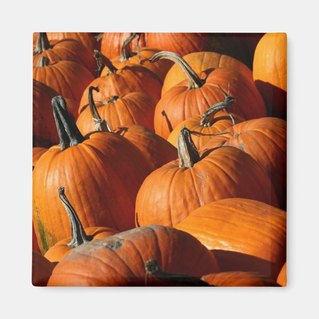 Imã Pumpkins (Frente)