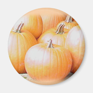 Imã Pumpkins