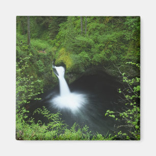 Imã Punchbowl Falls no Eagle Creek, Rio Columbia