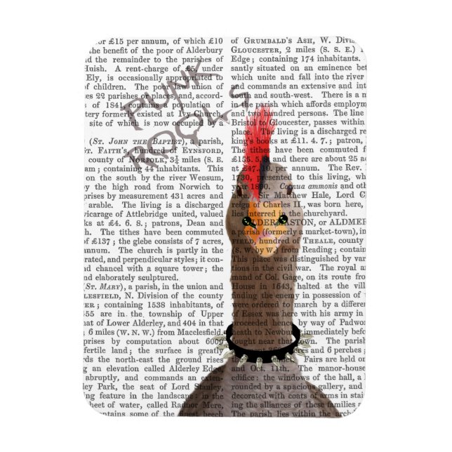 Ímã Punk Rock Goose (Vertical)