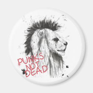 Imã punks nao inoperantes