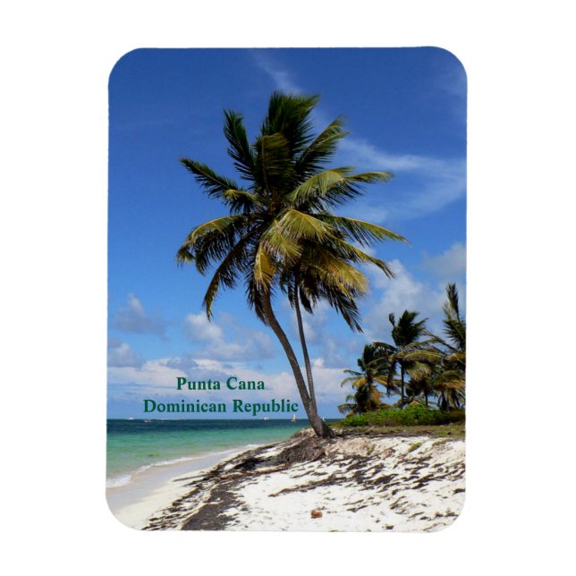 Ímã Punta Cana, República Dominicana, coqueiro (Vertical)