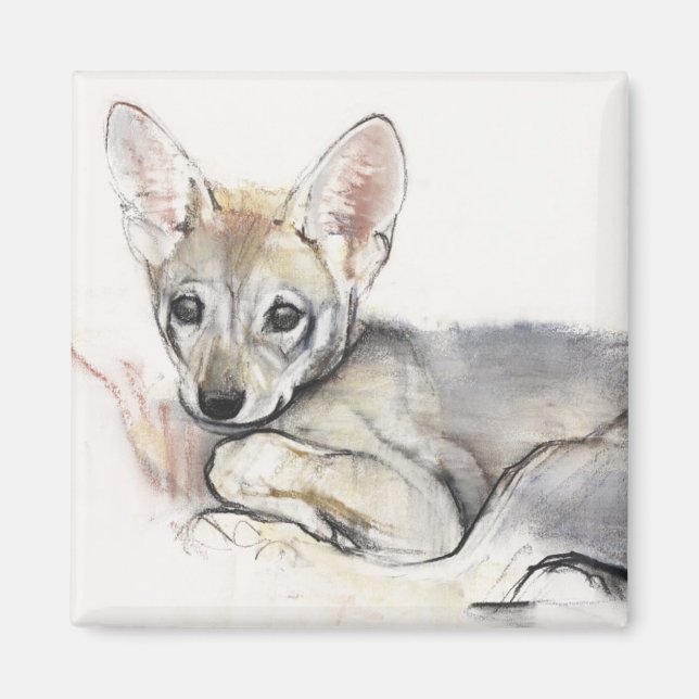 Imã Pup do Lobo Árabe Curled 2009 (Frente)