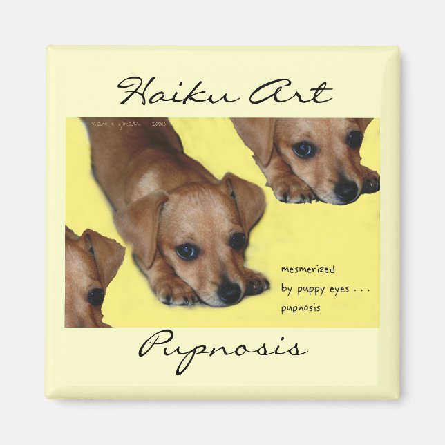 Imã Pupnosis Haiku Art Magnet (Frente)