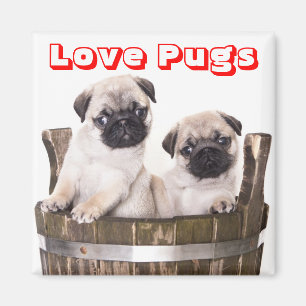 Imã Puppie Cães de Papoila em Magneta de Crato de Woo