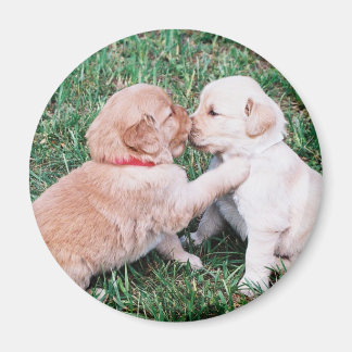 Imã Puppies beijando ímã