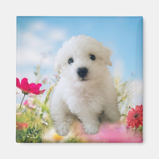 Imã Puppy Angel (Frente)