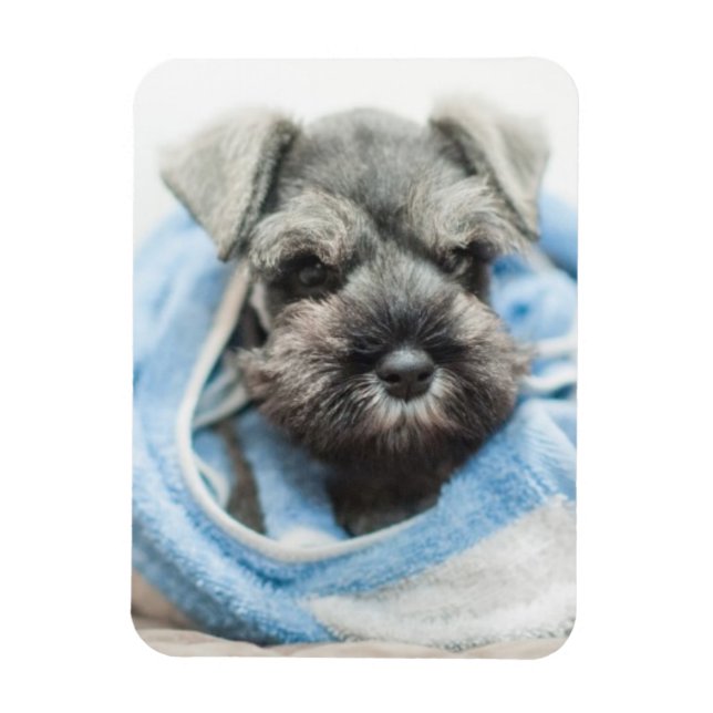 Ímã Puppy Após Bath (Vertical)