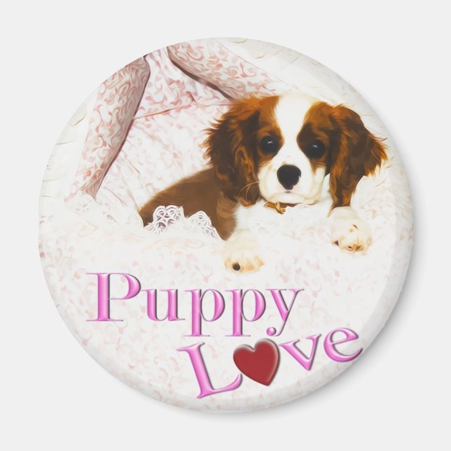 Imã Puppy Love Cavalier King Charles Spaniel Magnet (Frente)
