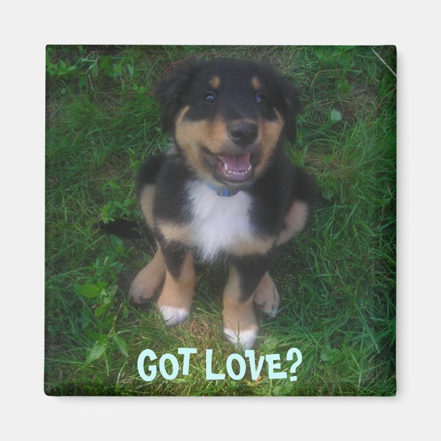 IMÃ PUPPY, TEM AMOR? (Frente)