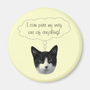 Imã Purgar Meu Caminho para Fora de Qualquer Magneta