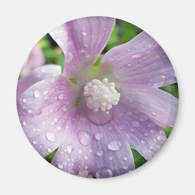 Imã Puro brilhante (Frente)