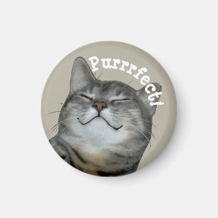 Imã Puro Gato de presunto