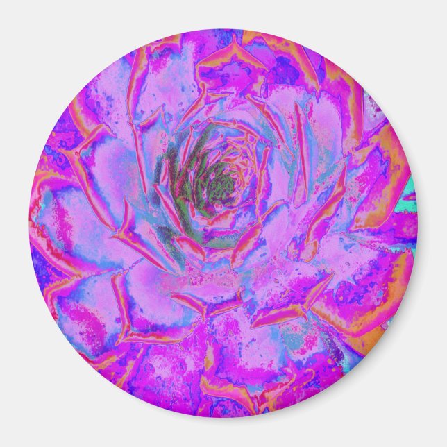 Imã Purple and Magenta Succulent Sedum Rosette (Frente)