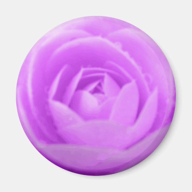 Imã Purple Camellia Magnet (Frente)