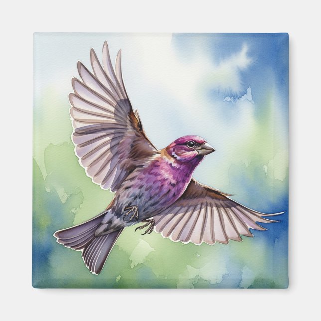 Imã Purple Finch in flight (Frente)