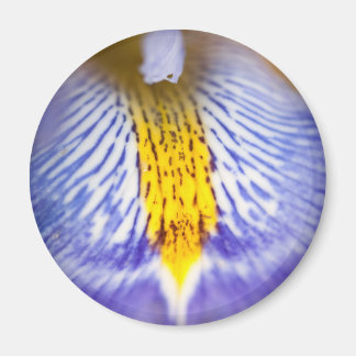Imã Purple Iris