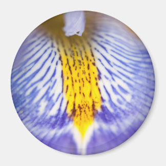 Imã Purple Iris