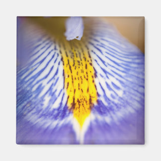 Imã Purple Iris