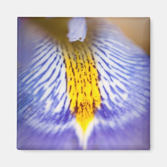 Imã Purple Iris (Frente)
