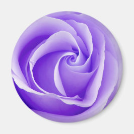 Imã Purple Rose Magnet