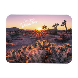 Ímã Púrpura Laranja Cholla Cactus Joshua Tree Sunset