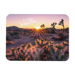 Ímã Púrpura Laranja Cholla Cactus Joshua Tree Sunset