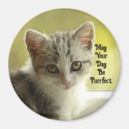 Imã Purrfect Day Kitten Magnet