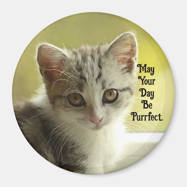 Imã Purrfect Day Kitten Magnet (Frente)