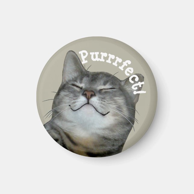 Imã Purrfect Smilg gatty cat (Frente)