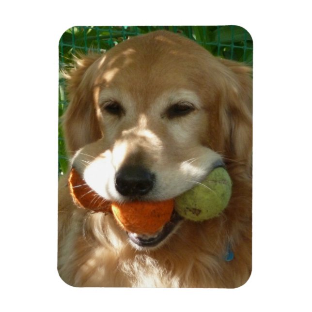 Ímã Puzzle do Golden Retriever & Bolas de Tênis (Vertical)