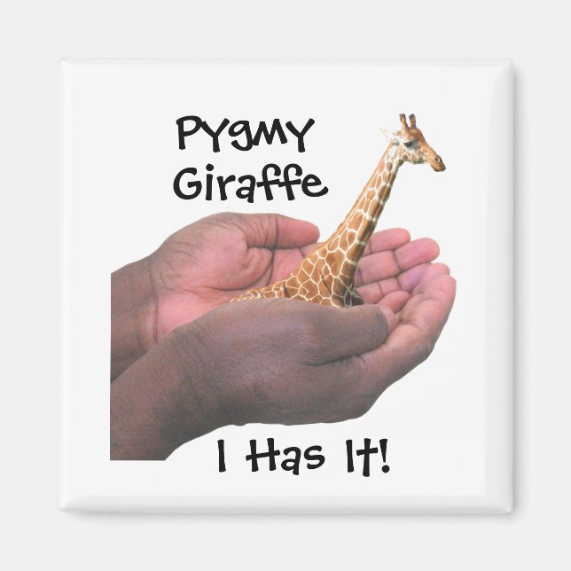 Imã Pygmy Giraffe (Frente)