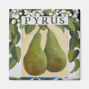 Imã Pyrus