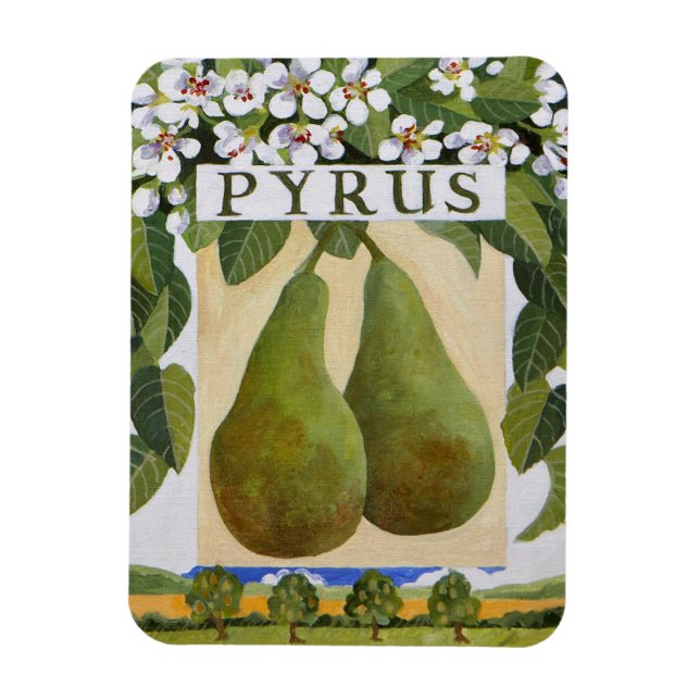 Ímã Pyrus (Vertical)