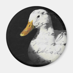 Imã Quackers
